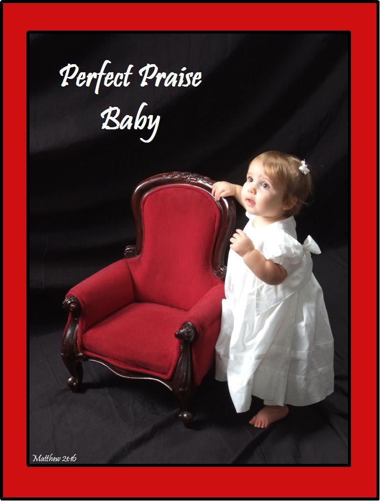 Perfect Praise Baby Book is a complete musical guide for every step of your baby’s development. Over 200 variations of positions and uses are given taking your baby from newborn babe-in-arms to walking. 